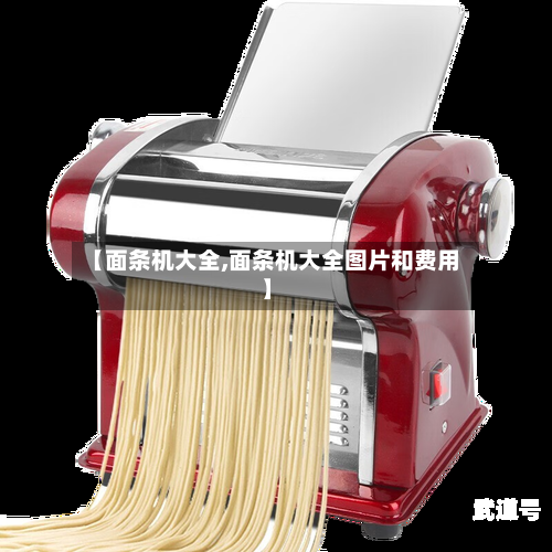 【面条机大全,面条机大全图片和费用】
