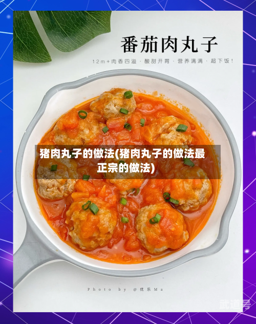 猪肉丸子的做法(猪肉丸子的做法最正宗的做法)