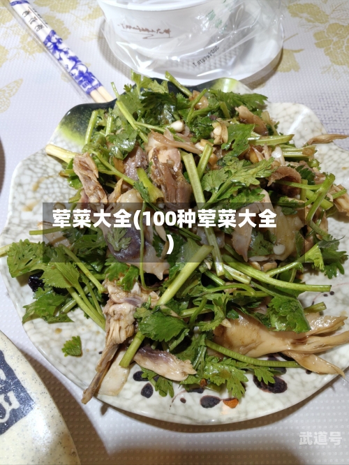 荤菜大全(100种荤菜大全)