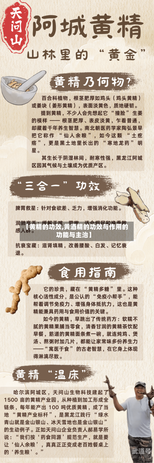 【黄精的功效,黄酒精的功效与作用的功能与主治】