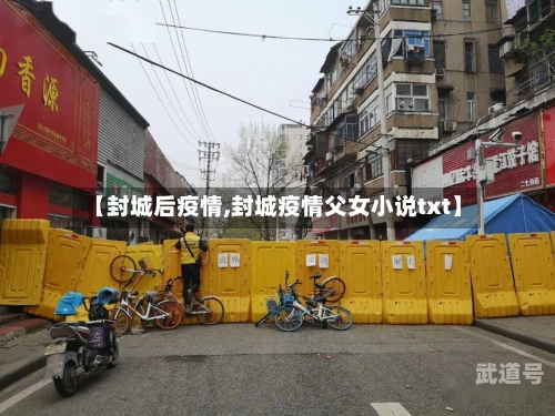 【封城后疫情,封城疫情父女小说txt】