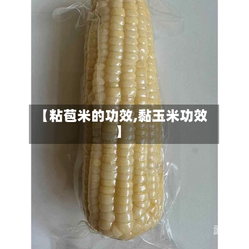 【粘苞米的功效,黏玉米功效】