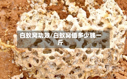 白蚁窝功效/白蚁窝值多少钱一斤