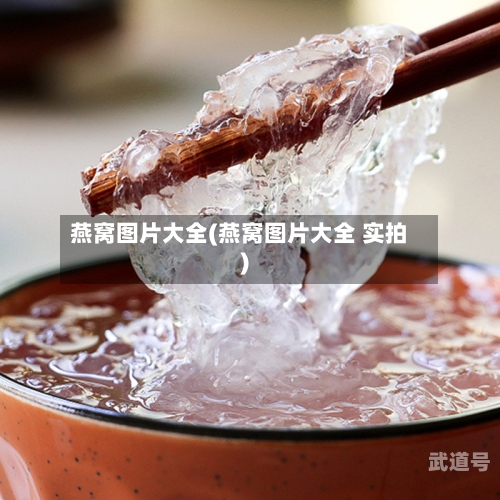 燕窝图片大全(燕窝图片大全 实拍)