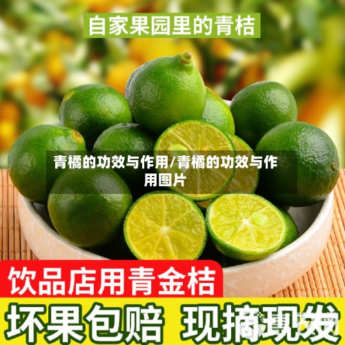 青橘的功效与作用/青橘的功效与作用图片