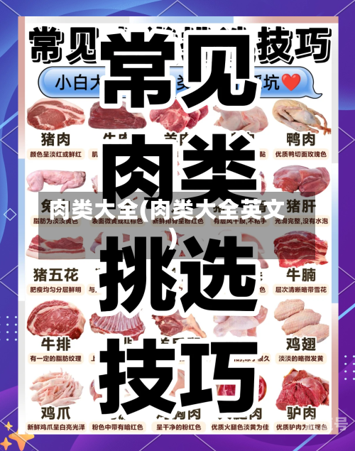 肉类大全(肉类大全英文)