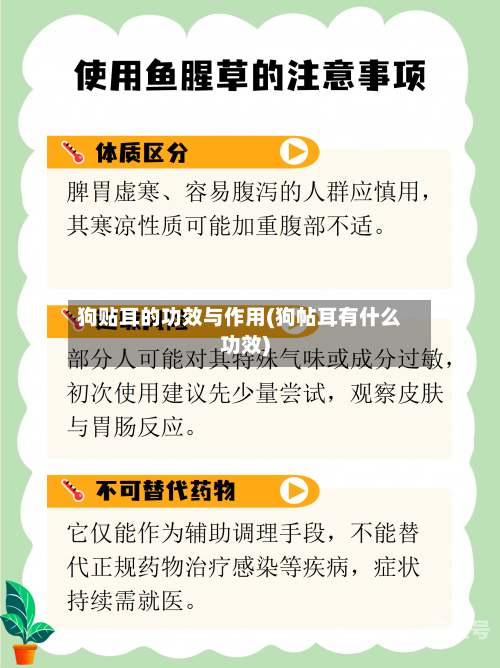 狗贴耳的功效与作用(狗帖耳有什么功效)