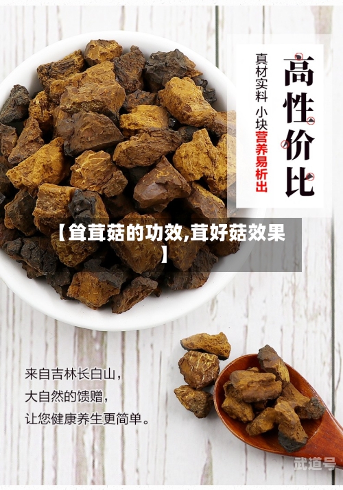 【耸茸菇的功效,茸好菇效果】-第3张图片