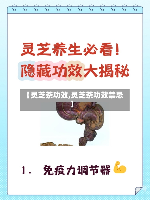 【灵芝茶功效,灵芝茶功效禁忌】-第3张图片