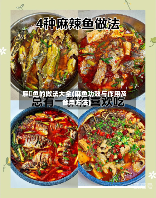 麻辡鱼的做法大全(麻鱼功效与作用及食用方法)