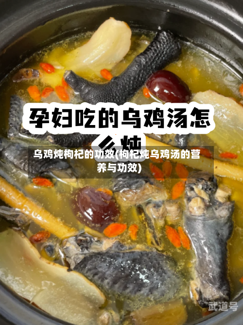 乌鸡炖枸杞的功效(枸杞炖乌鸡汤的营养与功效)-第2张图片