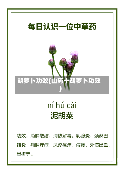 胡萝卜功效(山药十胡萝卜功效)