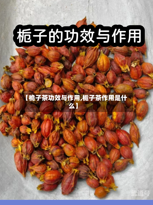 【桅子茶功效与作用,栀子茶作用是什么】
