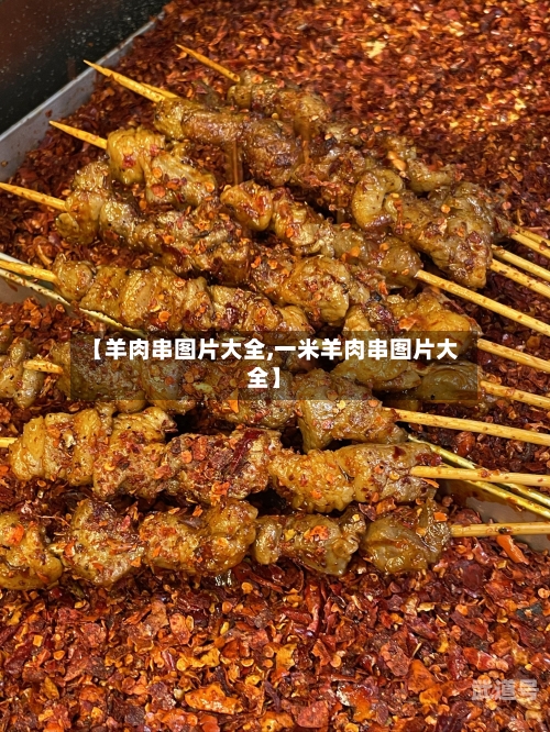 【羊肉串图片大全,一米羊肉串图片大全】