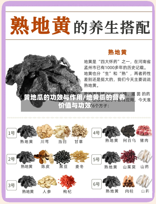 黄地瓜的功效与作用/地黄瓜的营养价值与功效-第1张图片