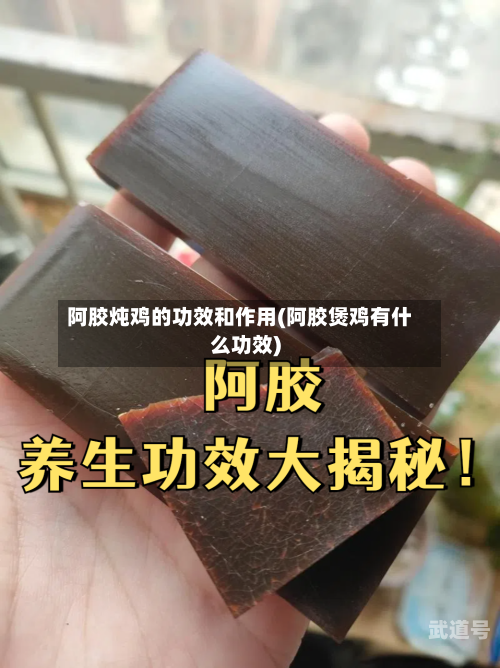 阿胶炖鸡的功效和作用(阿胶煲鸡有什么功效)-第3张图片