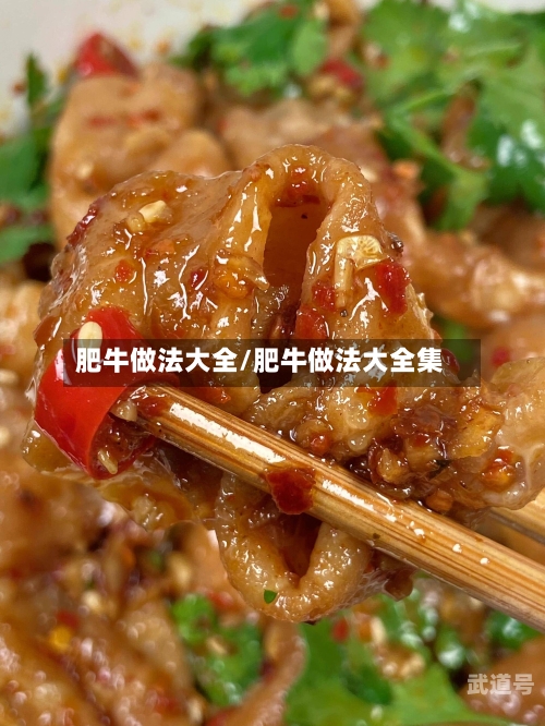 肥牛做法大全/肥牛做法大全集