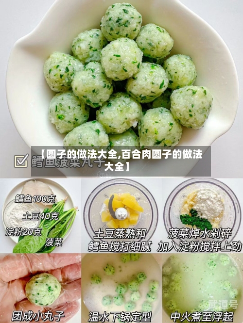 【圆子的做法大全,百合肉圆子的做法大全】-第3张图片