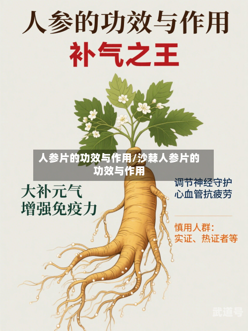 人参片的功效与作用/沙棘人参片的功效与作用-第3张图片