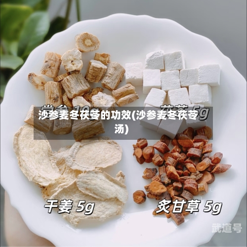沙参麦冬茯苓的功效(沙参麦冬茯苓汤)