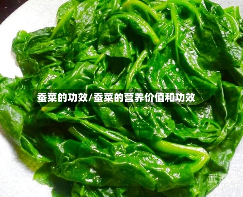 蚕菜的功效/蚕菜的营养价值和功效-第3张图片