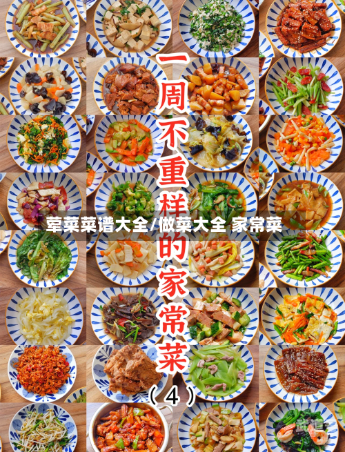 荤菜菜谱大全/做菜大全 家常菜