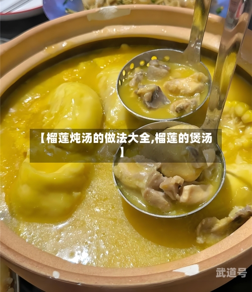 【榴莲炖汤的做法大全,榴莲的煲汤】