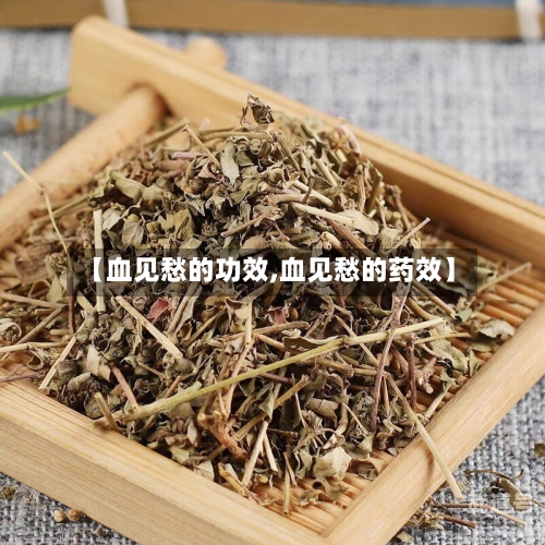 【血见愁的功效,血见愁的药效】