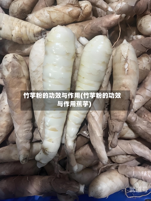 竹芋粉的功效与作用(竹芋粉的功效与作用蕉芋)