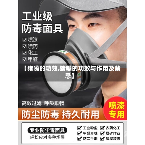 【猪嘴的功效,猪嘴的功效与作用及禁忌】