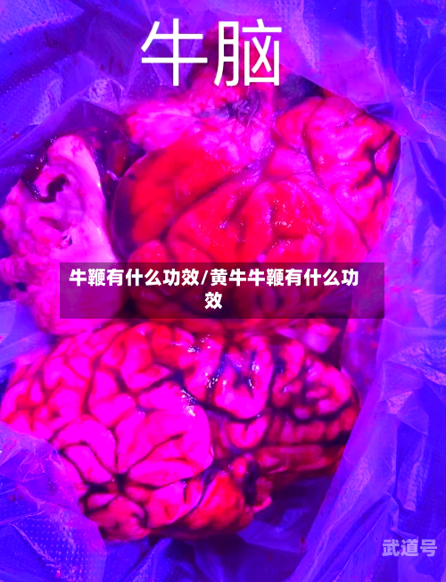 牛鞭有什么功效/黄牛牛鞭有什么功效