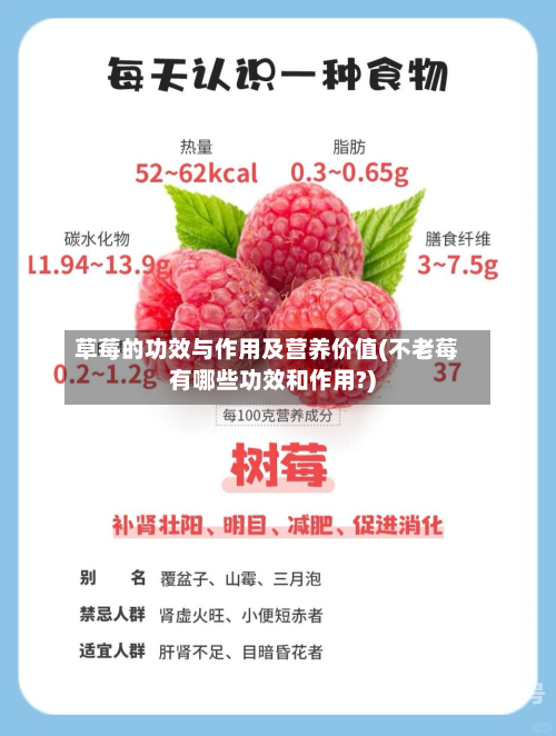 草莓的功效与作用及营养价值(不老莓有哪些功效和作用?)