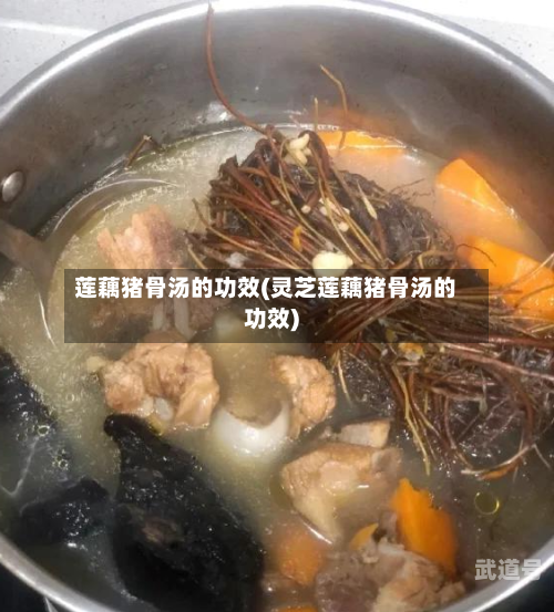 莲藕猪骨汤的功效(灵芝莲藕猪骨汤的功效)