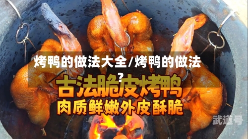 烤鸭的做法大全/烤鸭的做法?-第3张图片