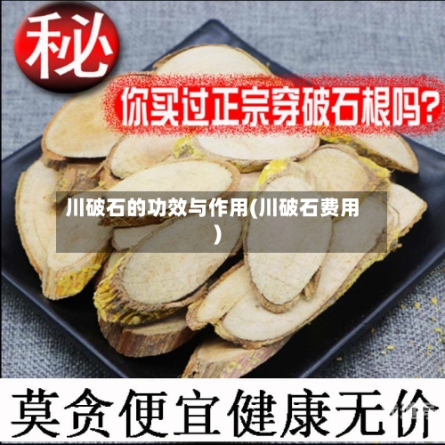 川破石的功效与作用(川破石费用)-第2张图片