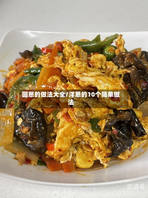 圆葱的做法大全/洋葱的10个简单做法