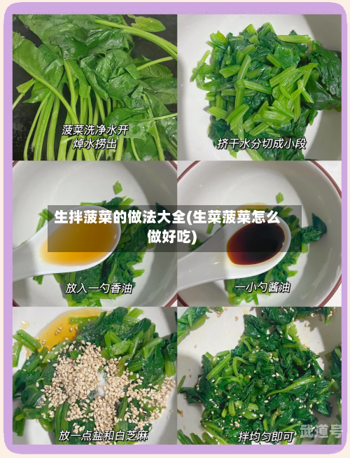 生拌菠菜的做法大全(生菜菠菜怎么做好吃)-第1张图片