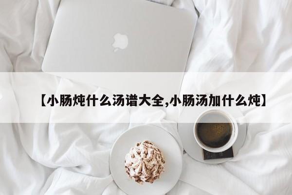 【小肠炖什么汤谱大全,小肠汤加什么炖】