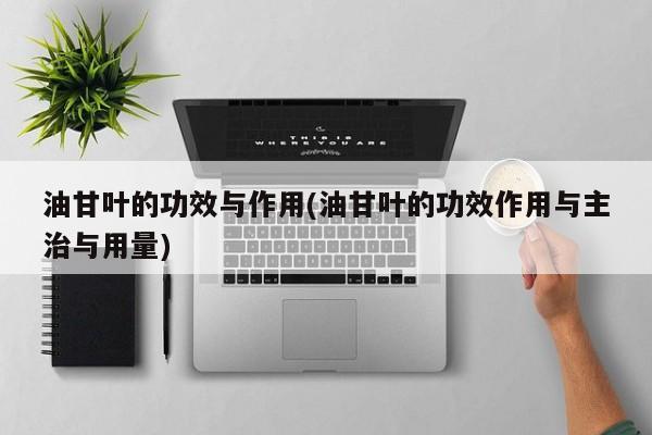 油甘叶的功效与作用(油甘叶的功效作用与主治与用量)