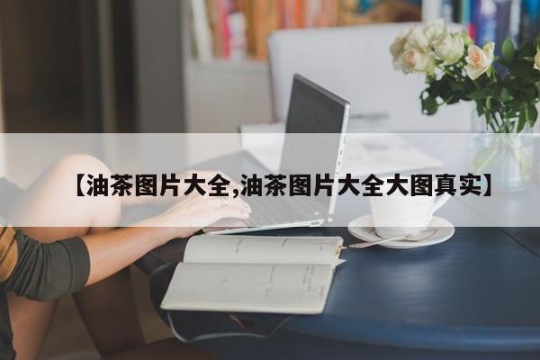 【油茶图片大全,油茶图片大全大图真实】
