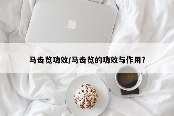 马齿览功效/马齿览的功效与作用?