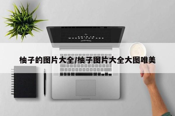 柚子的图片大全/柚子图片大全大图唯美