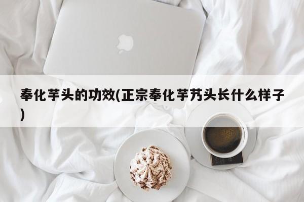 奉化芋头的功效(正宗奉化芋艿头长什么样子)