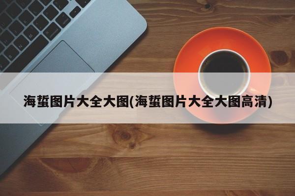 海蜇图片大全大图(海蜇图片大全大图高清)