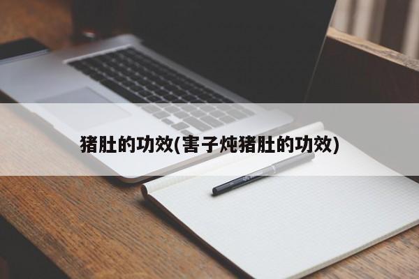 猪肚的功效(害子炖猪肚的功效)
