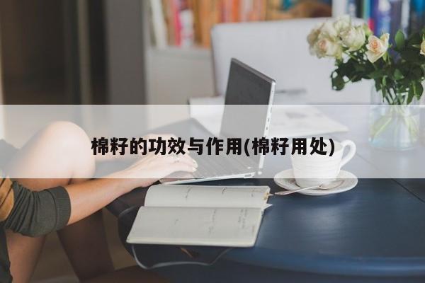 棉籽的功效与作用(棉籽用处)