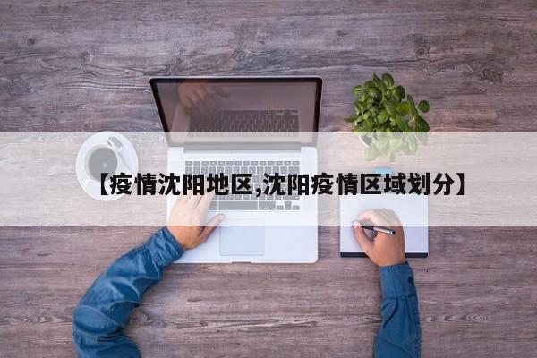 【疫情沈阳地区,沈阳疫情区域划分】