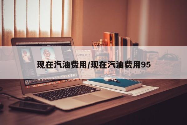 现在汽油费用/现在汽油费用95