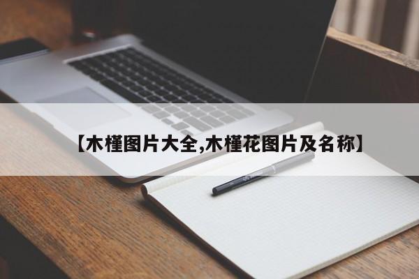 【木槿图片大全,木槿花图片及名称】