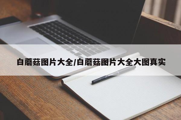 白蘑菇图片大全/白蘑菇图片大全大图真实